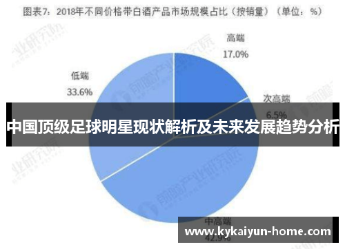 中国顶级足球明星现状解析及未来发展趋势分析